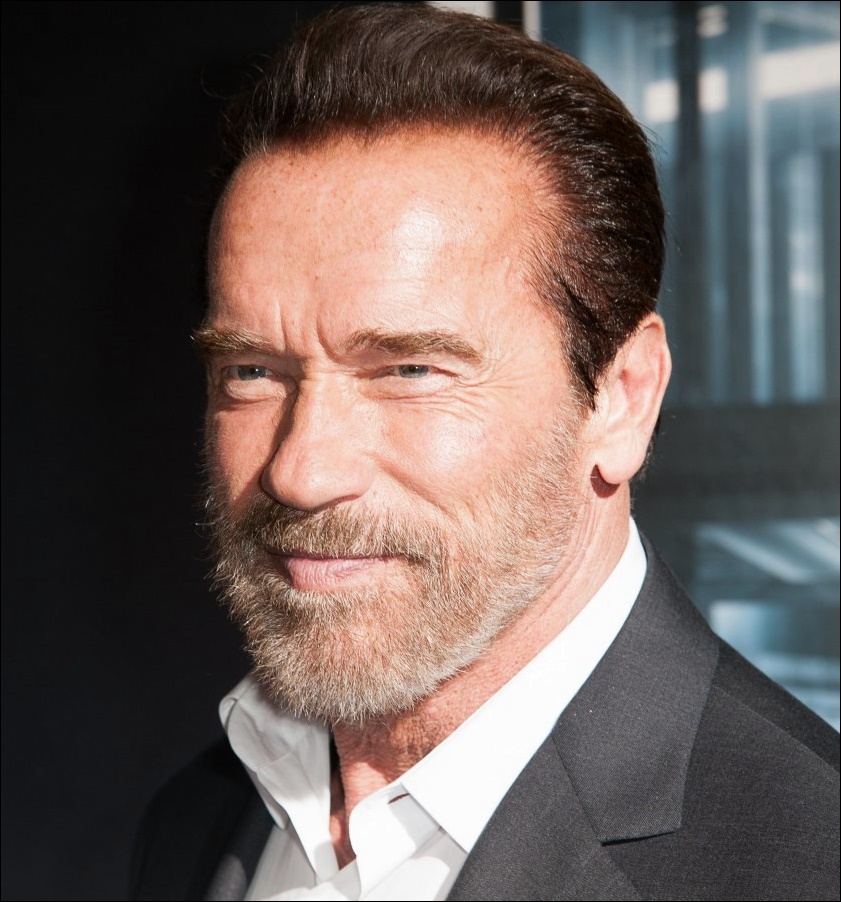 Arnold Schwarzenegger Bodybuilding und plastische Chirurgie  